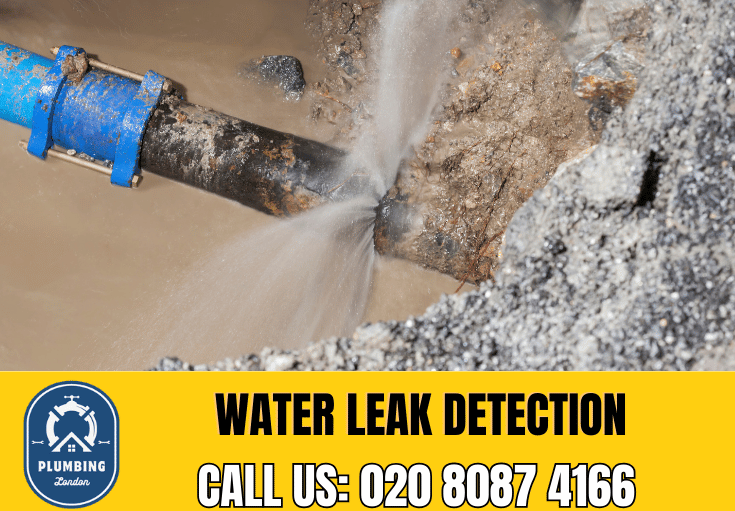 leak detection St Johns Wood